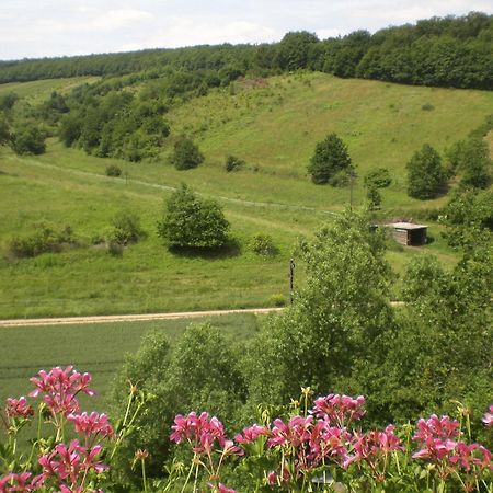 Landhotel Lembergblick Feilbingert Dış mekan fotoğraf