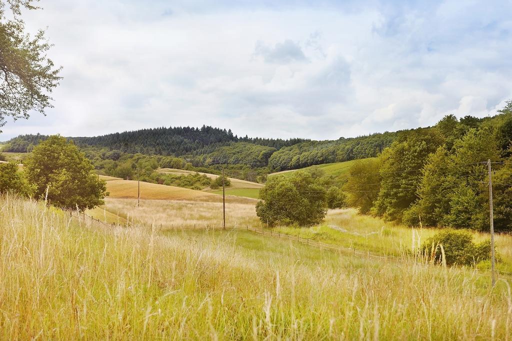 Landhotel Lembergblick Feilbingert Dış mekan fotoğraf